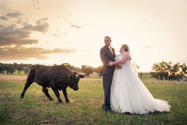 Không biết số phận của chú rể sau bức ảnh này sẽ ra sao.