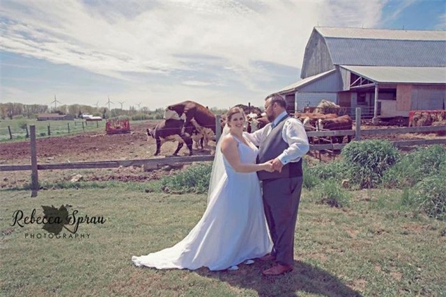 Xin hãy chú ý đến cô dâu và chú rể, đừng cứ nhìn chằm chằm vào hành động của hai chú bò ở đằng sau.