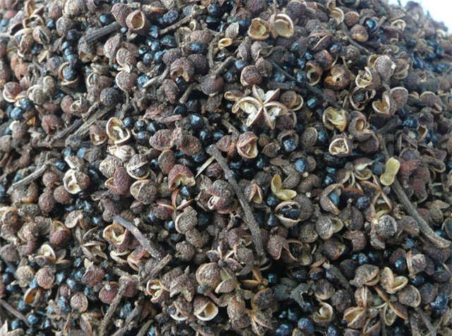 thịt trâu,món ăn lạ