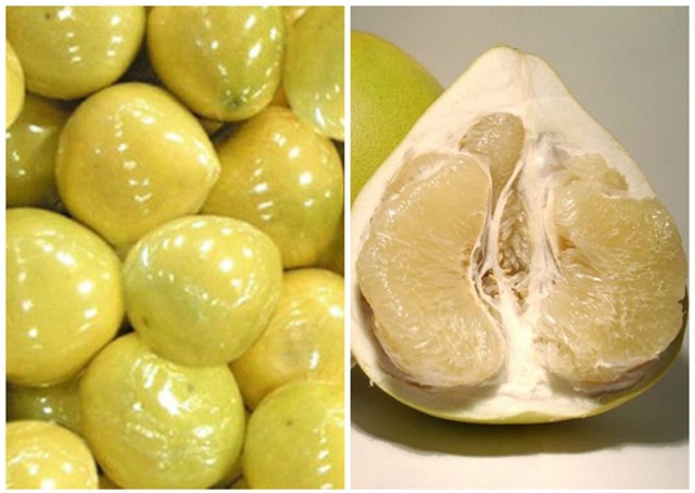 Buôn bưởi vàng óng Trung Quốc thương lái khóc ròng