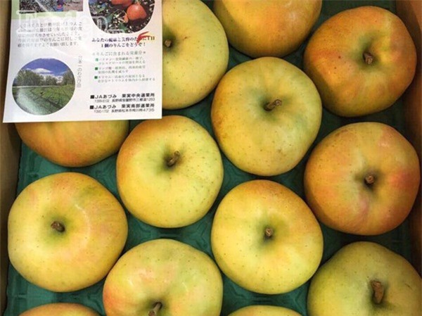 Táo Orin mùa thu Nhật Bản khiến nhiều chị em yêu thích vì mùi thơm nồng như sữa