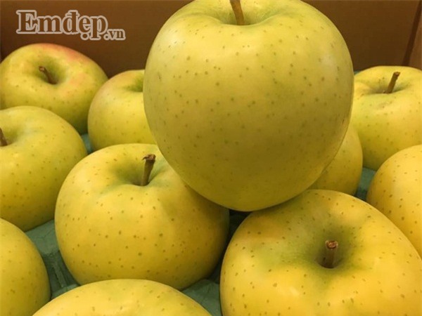 Táo Orin mùa thu Nhật Bản khiến nhiều chị em yêu thích vì mùi thơm nồng như sữa