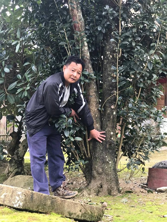 rau dại,quả dại,cây cổ thụ,cá chiên,cá lăng,rau càng cua,hành tím,mỹ phẩm giả,thực phẩm chức năng,thịt chuột,rượu giả,đặc sản nhà giàu,cây cảnh