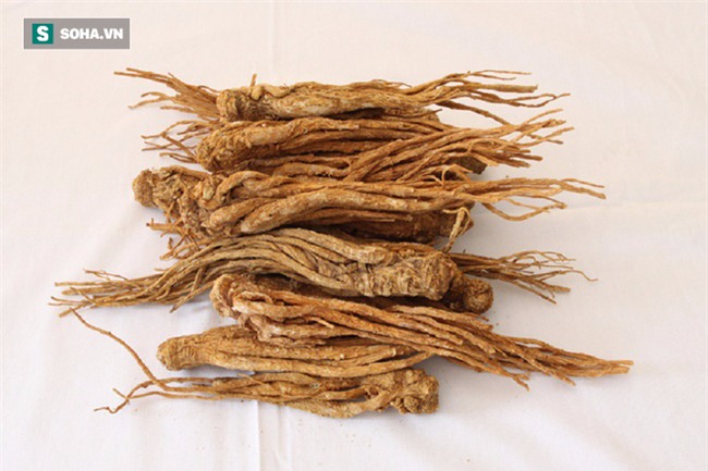 Nói kê gà là món Nam ăn bổ dương, nữ ăn nở ngực: Sự thật ra sao? - Ảnh 1.