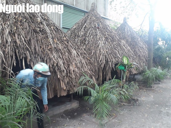 3 be gai om nhau khoc sau khi bi sam so - 1