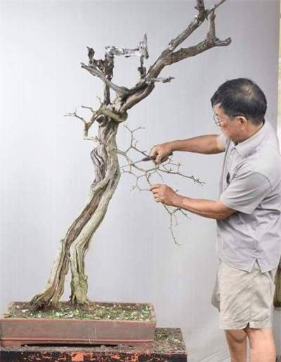 can canh: lao nong sai gon phu phep goc