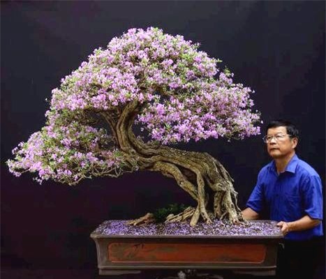 can canh: lao nong sai gon phu phep goc 