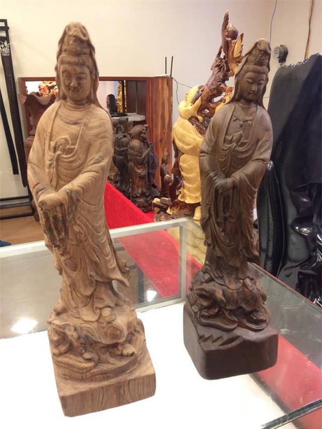 thủy tùng,cây cổ thụ,gỗ quý