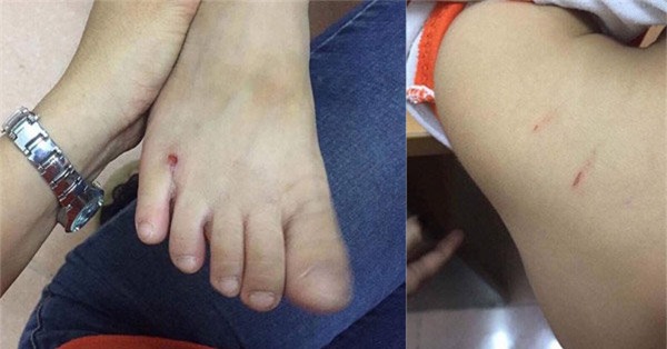 phan no truoc canh co giao mam non hanh ha con rieng cua chong o ha noi - 2