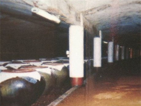 ngâm rượu,hổ,đại gia tẩm bổ