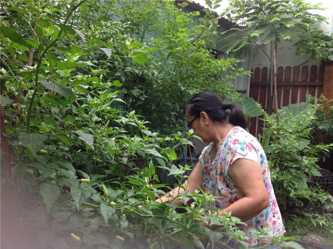 Cuộc sống nông dân giản dị vô cùng viên mãn của bố mẹ đẻ Tăng Thanh Hà-3