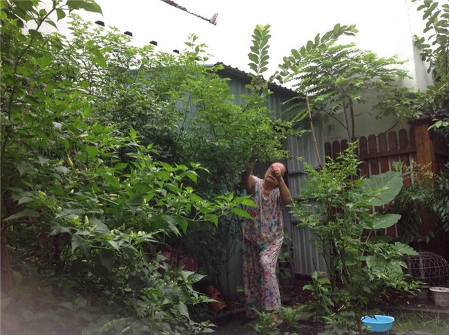 Cuộc sống nông dân giản dị vô cùng viên mãn của bố mẹ đẻ Tăng Thanh Hà-4