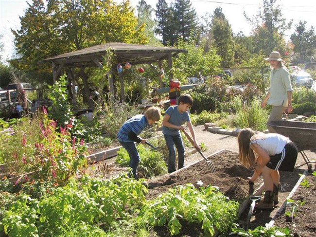 6 nguyên tắc từ giáo dục Waldorf của Đức mà mỗi gia đình nên áp dụng - Ảnh 3.