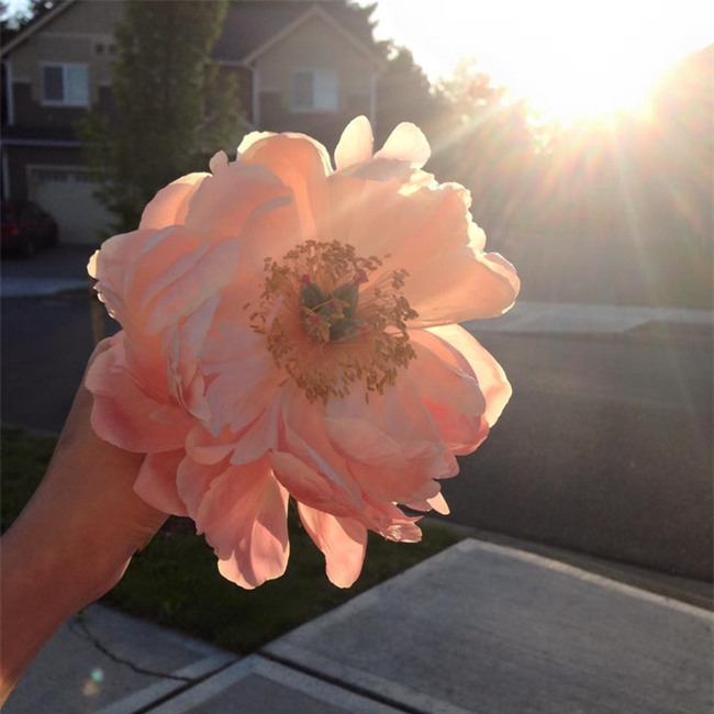 Chân dung cô vợ 9X xinh đẹp, khéo léo được anh Hai Lam Trường khen hết lời - Ảnh 7.