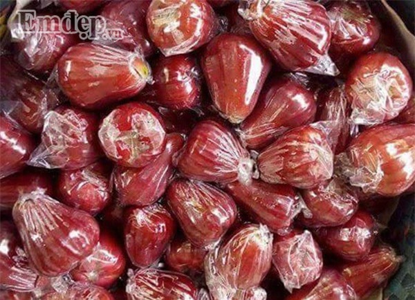 Mận An Phước chính vụ đỏ tươi, thơm ngọt giá 70.000 đồng/kg hút người mua