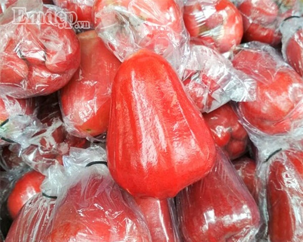 Mận An Phước chính vụ đỏ tươi, thơm ngọt giá 70.000 đồng/kg hút người mua
