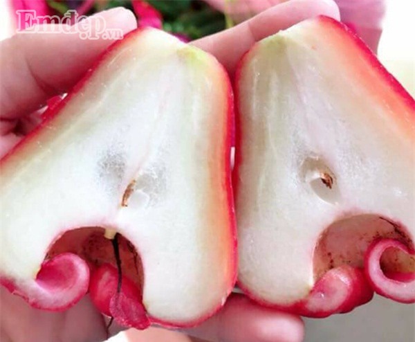 Mận An Phước chính vụ đỏ tươi, thơm ngọt giá 70.000 đồng/kg hút người mua