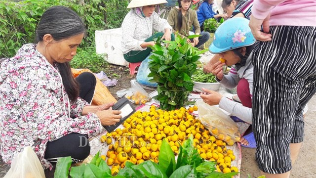 ve xu so hong khong hat co thu, nguoi dan thu 8 ty moi vu hinh anh 2