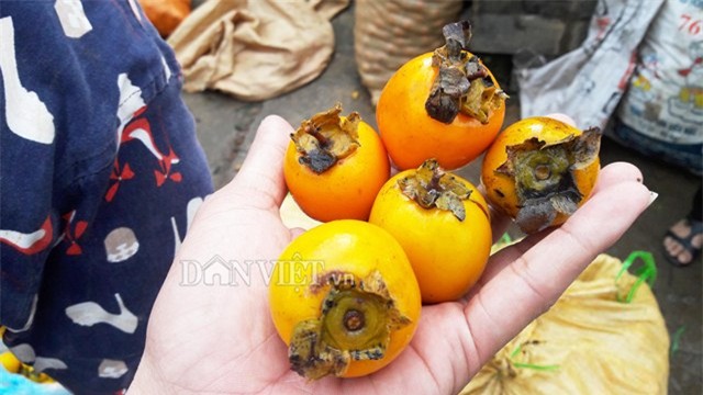 ve xu so hong khong hat co thu, nguoi dan thu 8 ty moi vu hinh anh 4