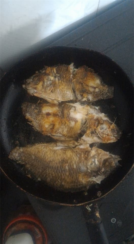 Cặp mẹ đẻ - con gái vụng nhất quả đất: Con gái rán cá nát, mẹ rán nem đen xì