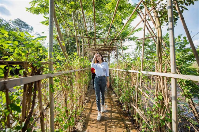 Đỗ Mỹ Linh - Nàng Hoa hậu Nhân Ái luôn ghi điểm trong mắt mọi người với phong cách thời trang giản dị - Ảnh 4.