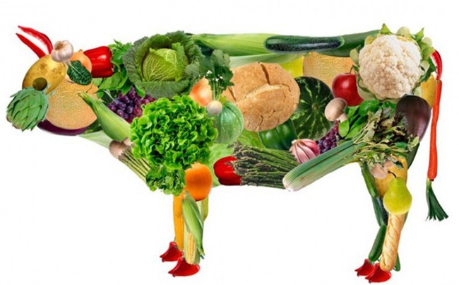 Người ăn quá ít thịt cá: Đừng bỏ qua 4 nguy cơ sức khỏe nghiêm trọng này