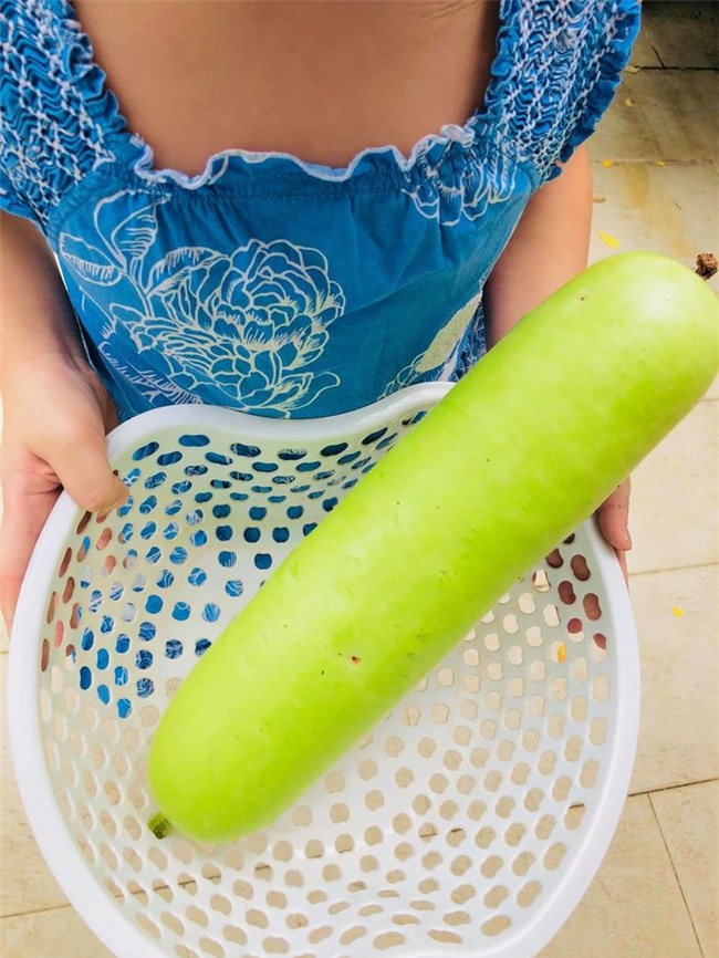 Bánh Gạo hào hứng khoe thành quả thu hoạch được là trái bầu xanh mướt. - Tin sao Viet - Tin tuc sao Viet - Scandal sao Viet - Tin tuc cua Sao - Tin cua Sao