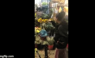 Cô dâu bức xúc quậy tung cửa hàng hoa vì bị chủ chê..."ngực lép"