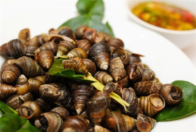 cach chon, lam sach va luoc oc gion ngon den ai cung phai hoi bi quyet - 1