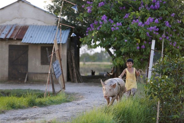 Ông bố nông dân Lương Mạnh Hải la hét hoảng loạn khi bị cua kẹp-4