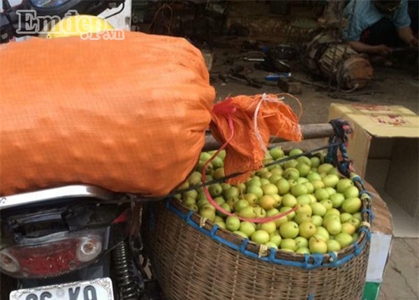 Táo chua đầu mùa 45.000 đồng/kg vẫn hút người mua