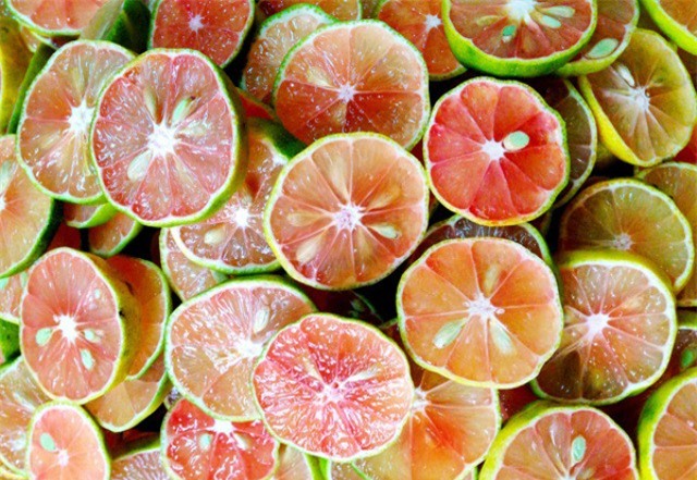 Trị ho hiệu quả cho trẻ trong mùa đông không cần dùng thuốc - Ảnh 2.