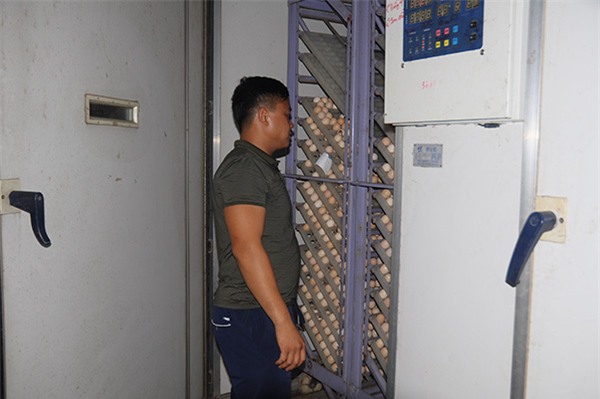 Nông dân làm giàu,bỏ đại học về quê,tỷ phú nông dân