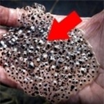 Sẽ có cả đàn ký sinh trùng rời khỏi cơ thể bạn nếu buổi sáng...