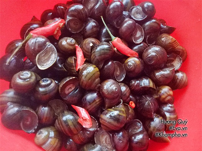 oc mit xao dua vua cay vua nong hoi lai gion ngon ai an cung thich - 2