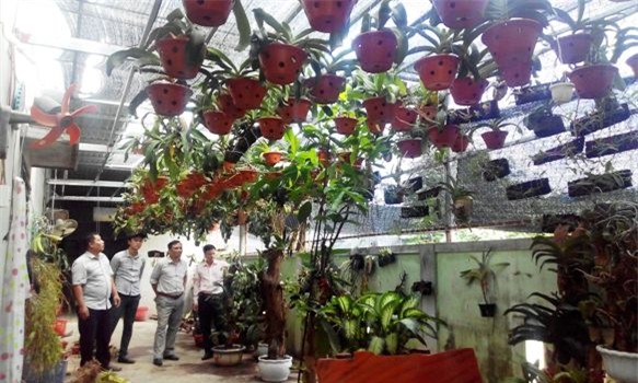 vuon lan rung quy hiem va 3 bi quyet thanh cong cua chu vuon hinh anh 3