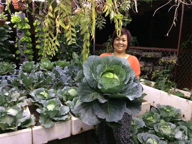Mê mẩn vườn rau xanh mướt trên sân thượng 40m² với chi phí 7 triệu đồng của người chồng chiều vợ - Ảnh 5.