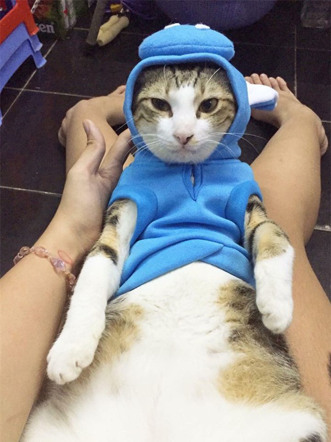 Cô gái lên mạng kể khổ vì bố thiếu quan tâm con cái: Ai đọc cũng bật cười - Ảnh 3.