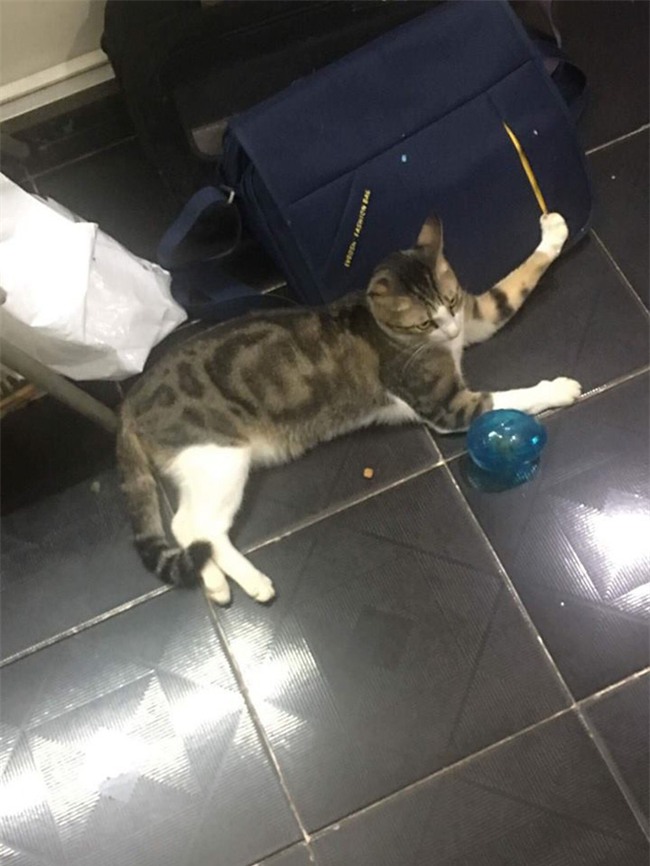 Cô gái lên mạng kể khổ vì bố thiếu quan tâm con cái: Ai đọc cũng bật cười - Ảnh 7.