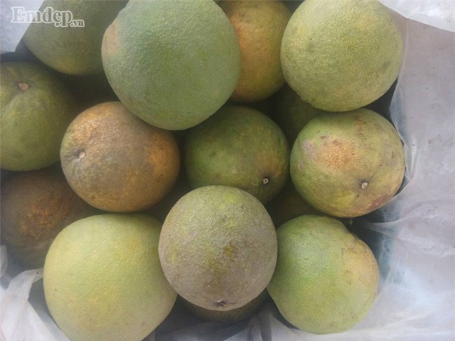Bưởi đào giá rẻ đồng loạt bán 7 -10 ngàn đồng/quả ở các chợ: Bà nội trợ tha cả tải về ăn dần