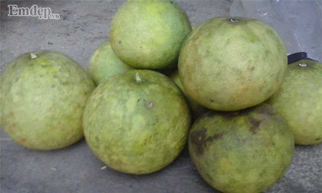 Bưởi đào giá rẻ đồng loạt bán 7 -10 ngàn đồng/quả ở các chợ: Bà nội trợ tha cả tải về ăn dần