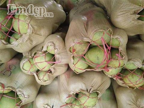 Bưởi đào giá rẻ đồng loạt bán 7 -10 ngàn đồng/quả ở các chợ: Bà nội trợ tha cả tải về ăn dần