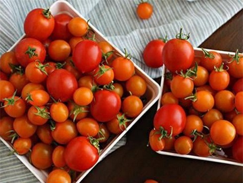Làm đẹp da bằng cách dùng cà chua đông đá-1