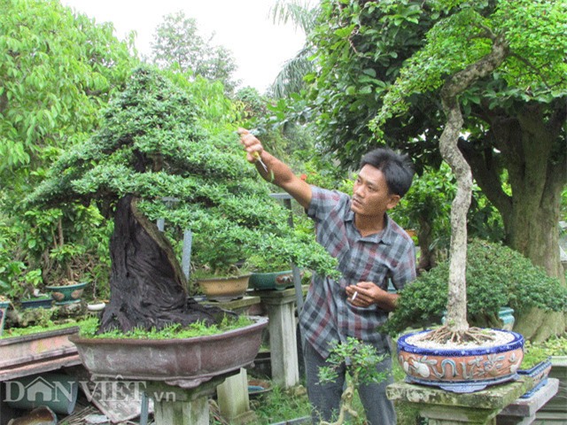 lam giau o pho: bo chuc giam doc, ve thu 2 ty dong/nam tu cay kieng hinh anh 2