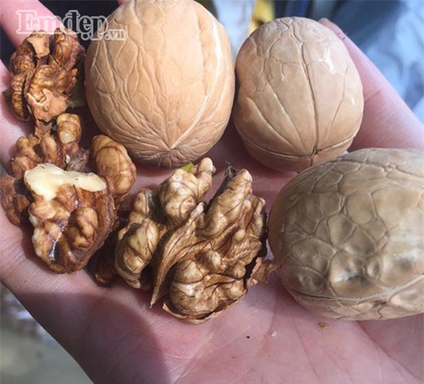 Tiểu thương tiết lộ giá nhập các loại kẹo, hạt dinh dưỡng, mứt trái cây dịp trước Tết gây sốc