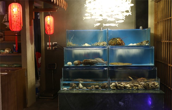 hải sản nhật,hải sản tươi sống,món ăn nhật,nhà hàng nhật,thực phẩm nhật,hàng Nhật