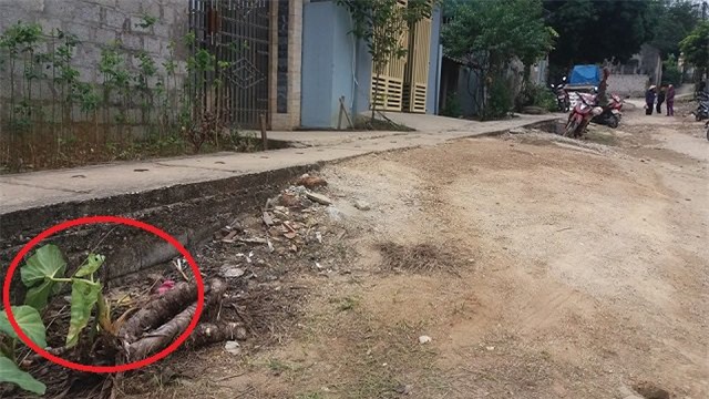 be gai 20 ngay tuoi bi bat coc: “chi trong 2 phut, ba noi gan nhu khong biet gi nua” - 3