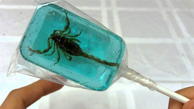 5 món ăn quen thuộc bỗng trở thành kinh dị khi làm từ côn trùng - Ảnh 1.