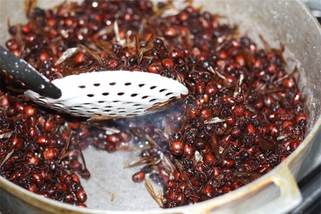 5 món ăn quen thuộc bỗng trở thành kinh dị khi làm từ côn trùng - Ảnh 4.