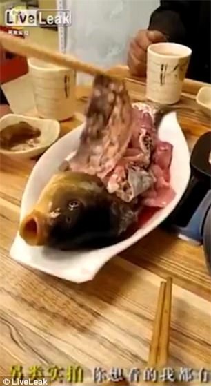 Bàn tiệc kinh dị ở Trung Quốc: cá còn thở, bạch tuộc quằn quại, lươn lúc nhúc cọ quậy trong bát - Ảnh 3.